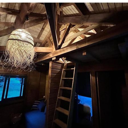 La Kaz A Pepes, Charmant Logement Avec Piscine Lamentin Ngoại thất bức ảnh