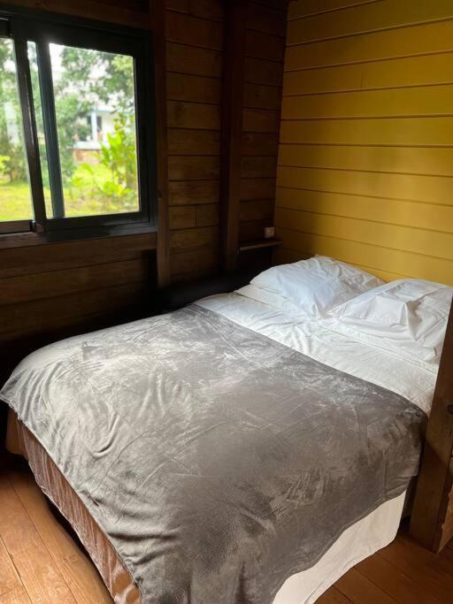 La Kaz A Pepes, Charmant Logement Avec Piscine Lamentin Ngoại thất bức ảnh